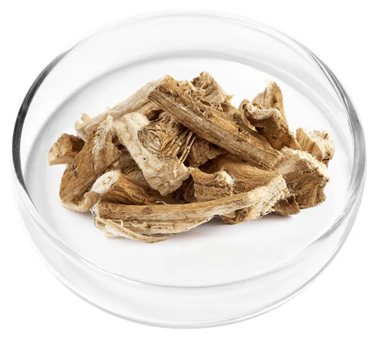 Nervovive ingridients 